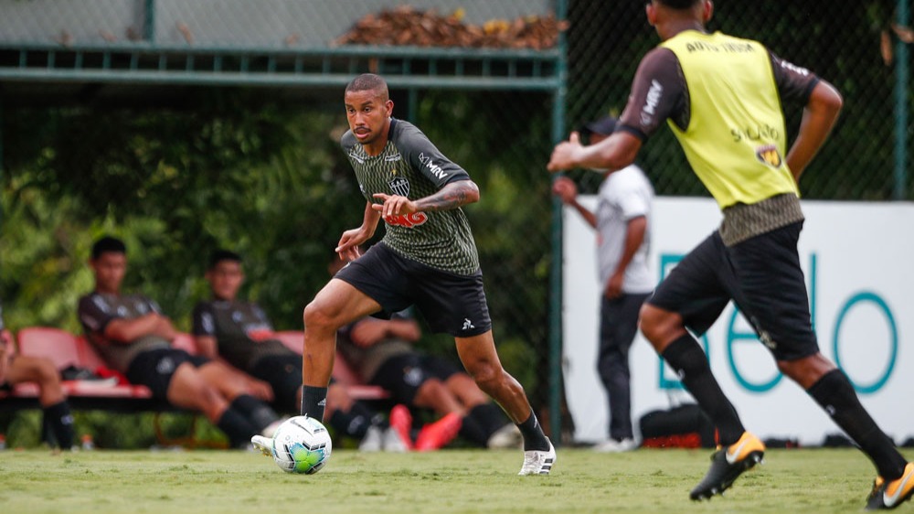 Galo-2.jpg