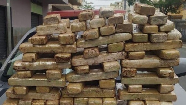 70 barras de maconha foram encontradas nas malas