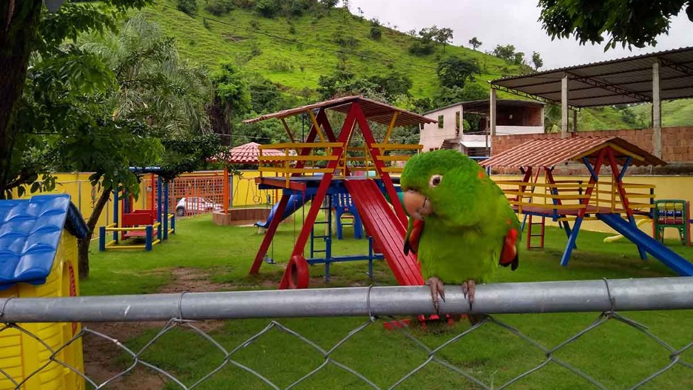 O nome do CMEI é uma homenagem a Salvelino Liu de Oliveira Barbosa