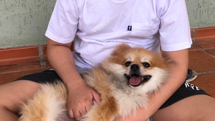 arthur com cão