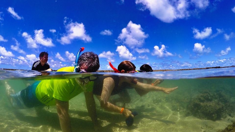 Cinco piscinas naturais incríveis para visitar após a pandemia
