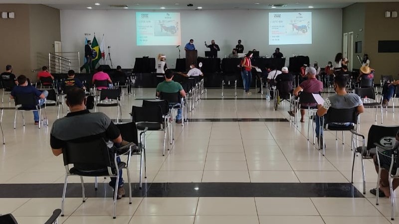 leilão