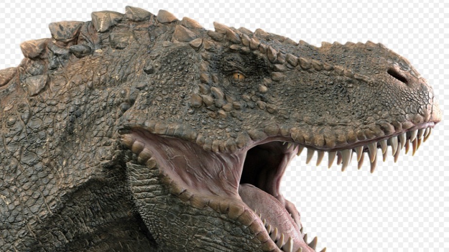 Pesquisadores descobrem dinossauro inédito que viveu em São Paulo