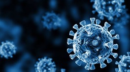 Virus