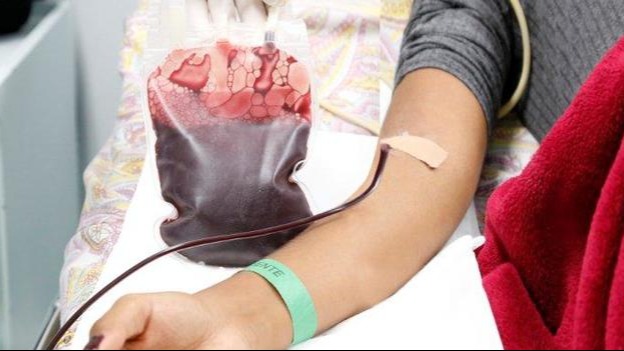 Doação sangue