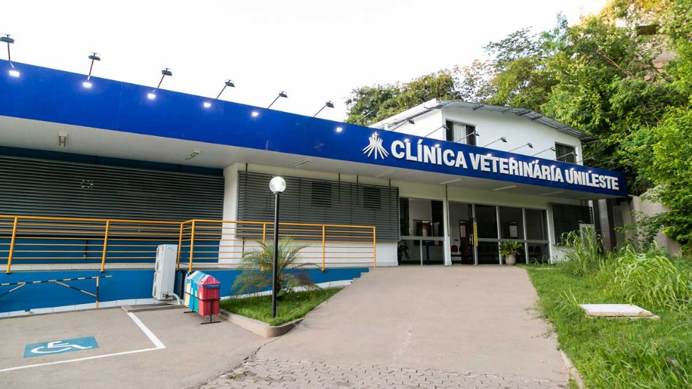 Clínica Veterinária do Unileste abre inscrições para atendimentos de animais de estimação