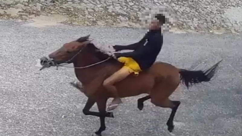 assaltante-cavalo