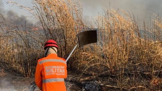 Mais de 10 hectares são destruídos em três incêndios na mesma cidade de Minas