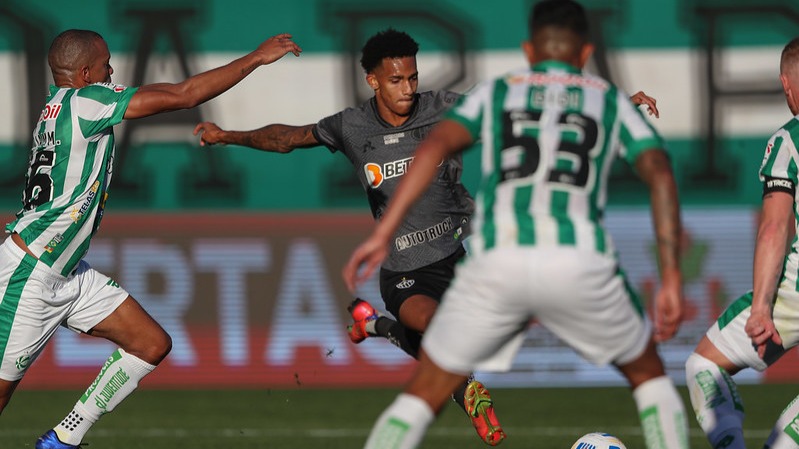 galo