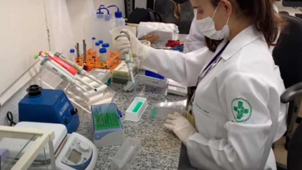 UFMG desenvolve vacina capaz de proteger grávidas e bebês dos efeitos da cocaína