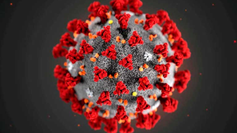 Covid-19: spray nasal feito no Brasil pode estar disponível até 2022