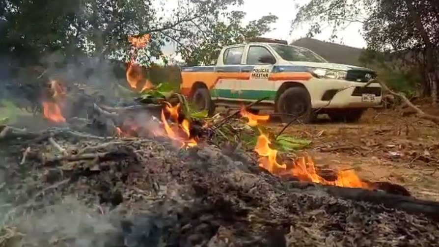Vídeo: incêndio criminoso atinge 252 hectares de mata no "Morro da Usipa"
