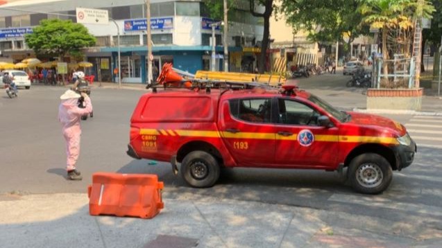 Abelhas atacam pedestres e deixam feridos no Centro de BH
