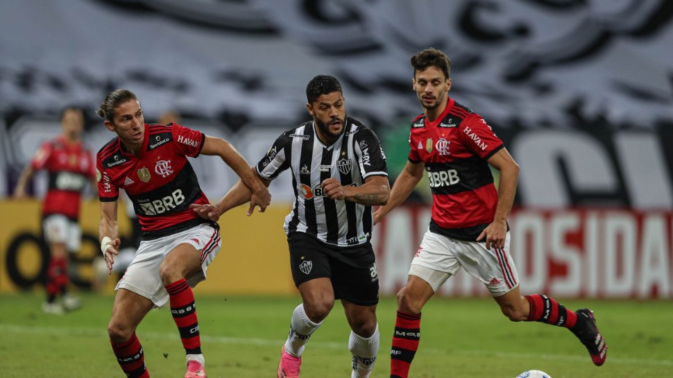 galo
