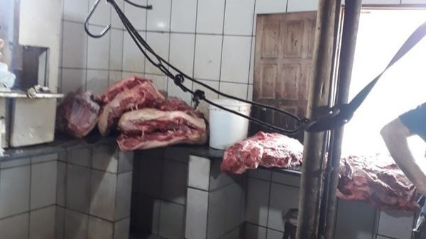 Abatedouro de porcos em área insalubre é interditado em Minas