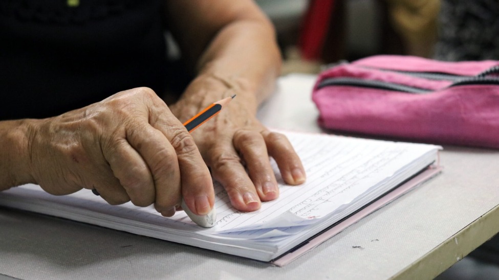 educação
