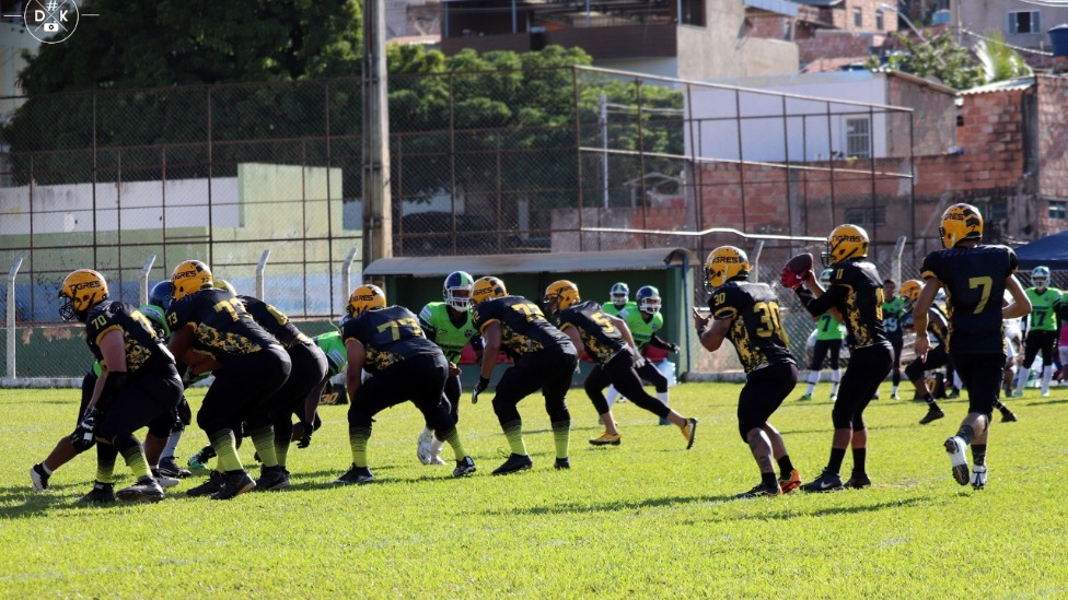Tigres