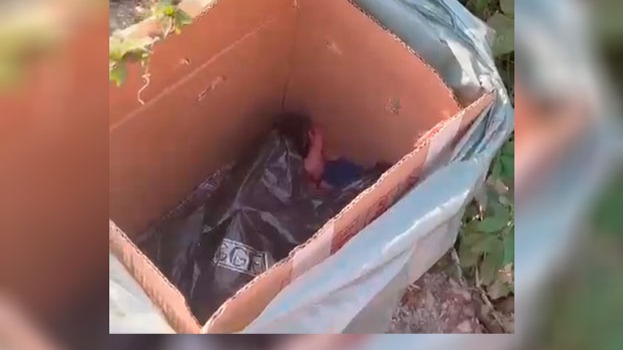 Bebe encontrada em caixa de papelão