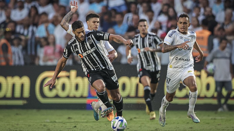 galo