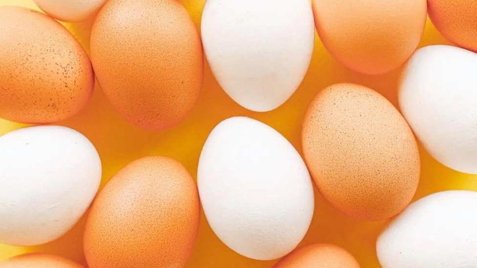Foto: Anna Shvets/Pexels/Reprodução