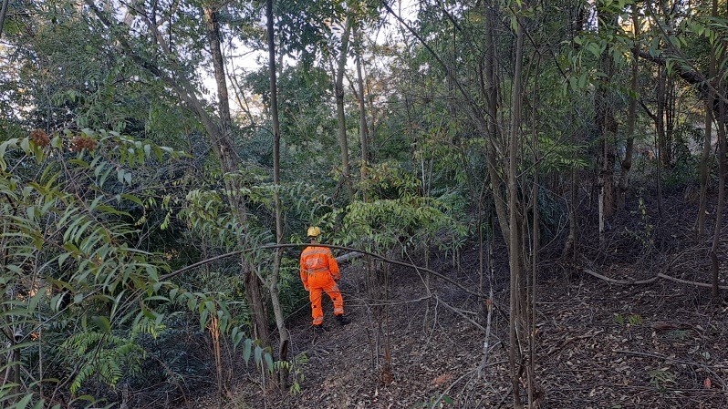 Bombeiros