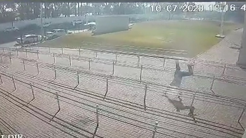 Pirueta