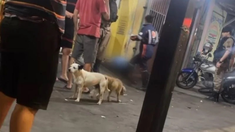 PM
