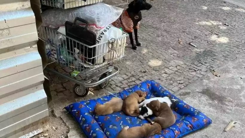 Foto: Arquivo pessoal/ Reprodução