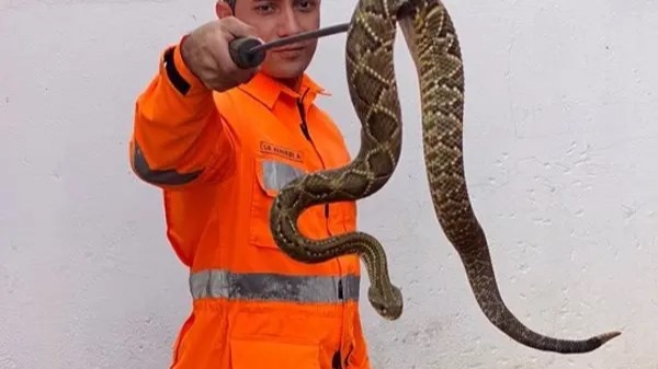 Créditos Divulgação CBMMG