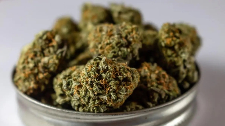  Foto: Terrance Barksdale/Pexels