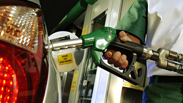 gasolina