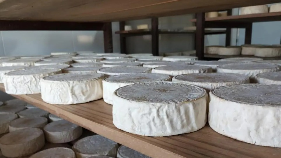 Foto: Queijo do Ivair/Divulgação e Arquivo Pessoal