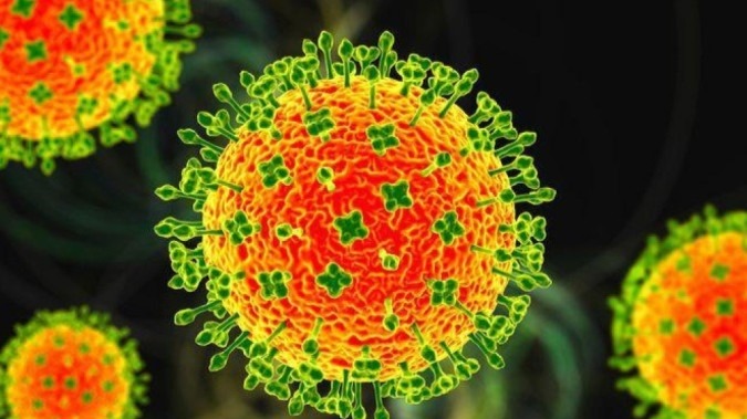 Nipah tem alta taxa de mortalidade, mas surtos só foram registrados no Sudeste Asiático - (crédito: Getty Images)