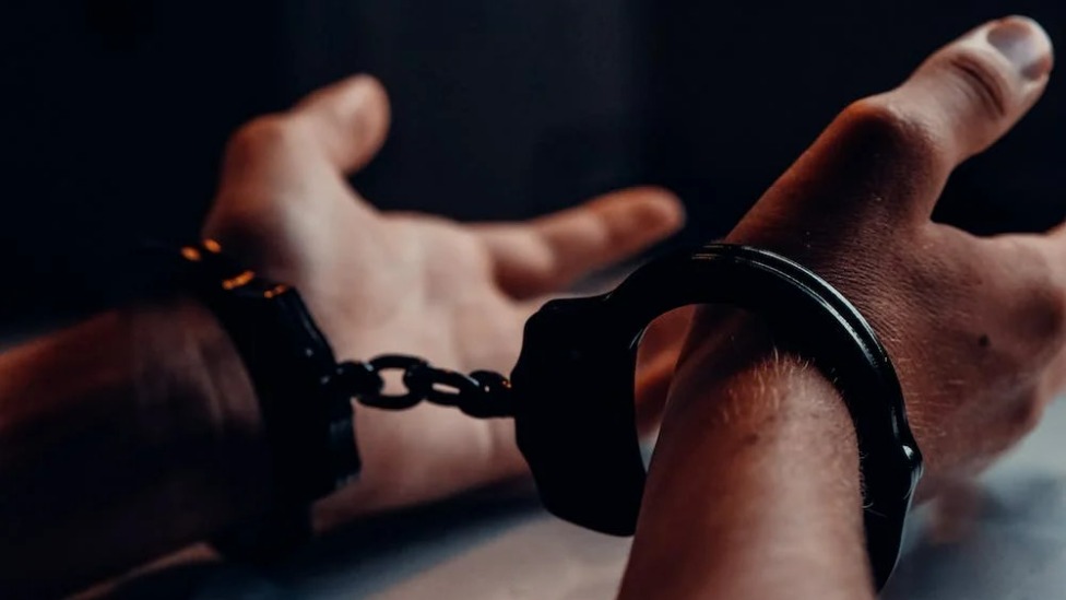 foto: Pexels/Reprodução