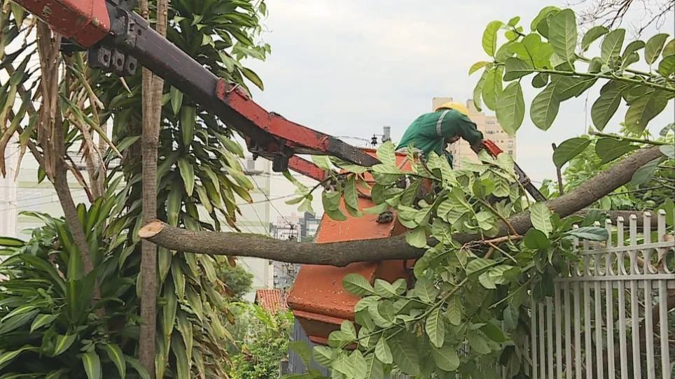 Foto: Reprodução/TV Globo