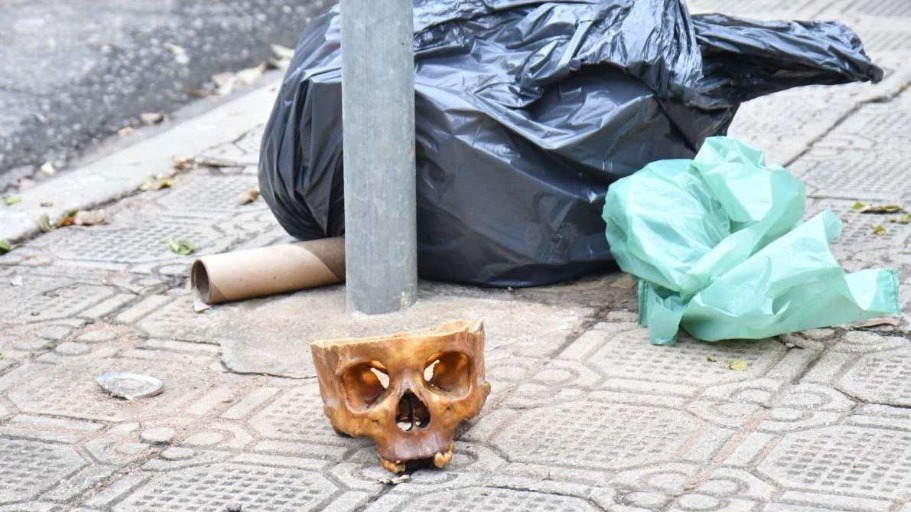 crédito: Polícia Militar/Divulgação
