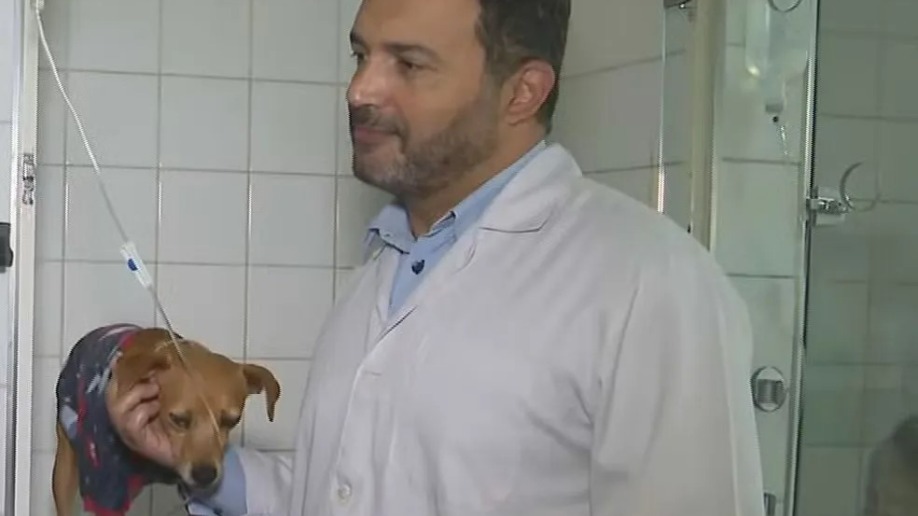  Foto: Reprodução/TV Globo