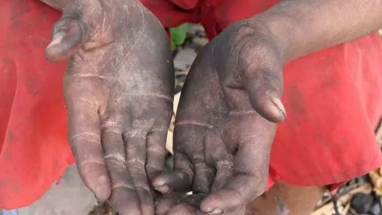  Foto: Procuradoria-Geral do Trabalho/Divulgação