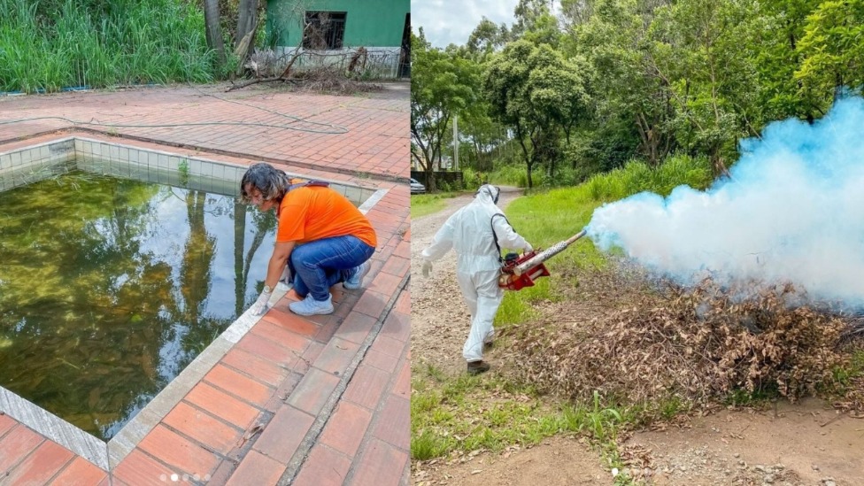 dengue