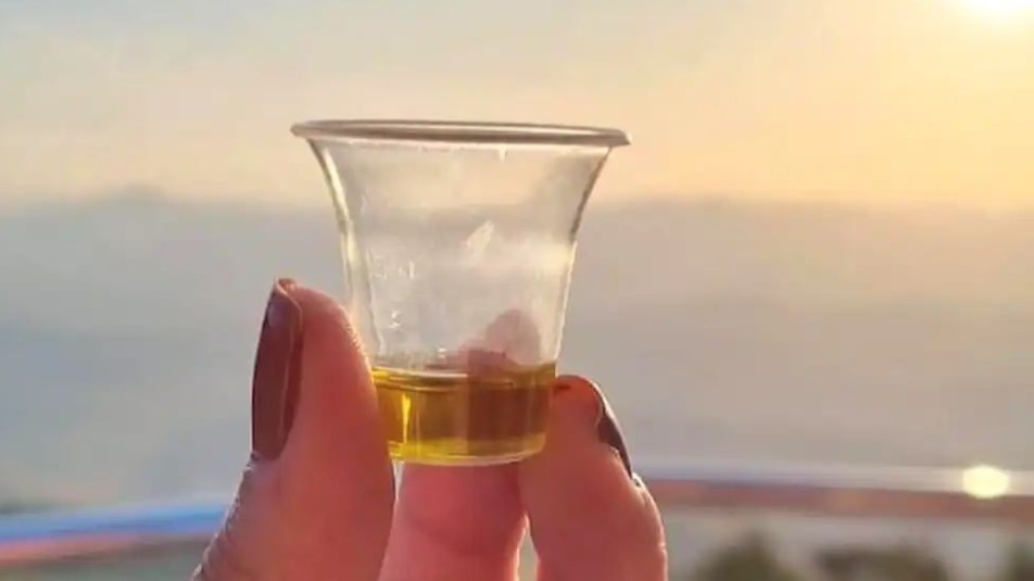 REPRODUÇÃO INSTAGRAM