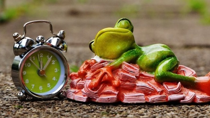 Foto: Pixabay/Reprodução