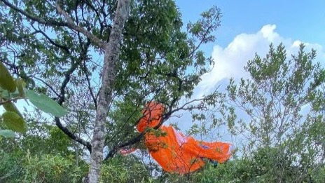 aaa