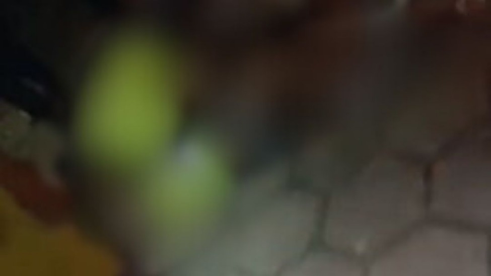 aaa
