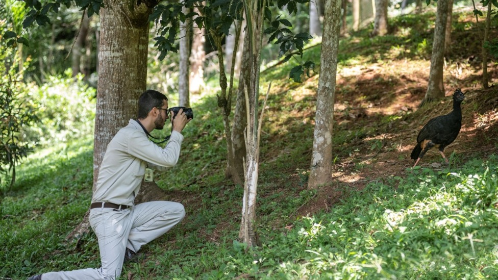 aaaa
