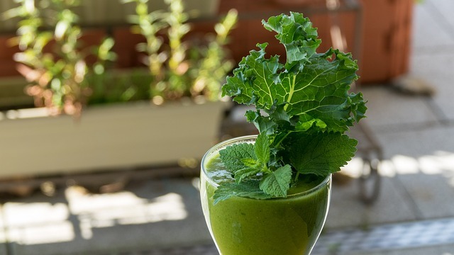 Couve: o superalimento para rejuvenescer após os 50