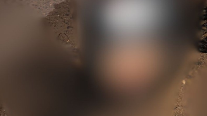 Adolescente tem a cabeça arrancada por madeira transportada em carro enquanto pilota moto