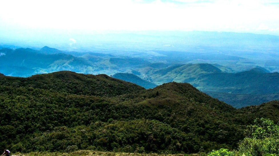 Foto: Pixabay/Reprodução