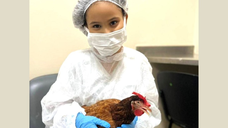 Lei permite visita de animais de estimação a pacientes internados em BH