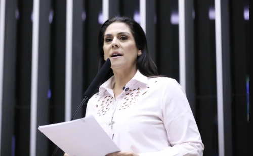 Câmara aprova prioridade no SUS para mães e pais atípicos