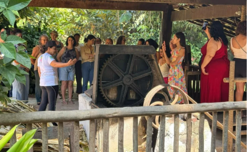 Servidoras de Ipatinga vivenciam imersão na cultura rural